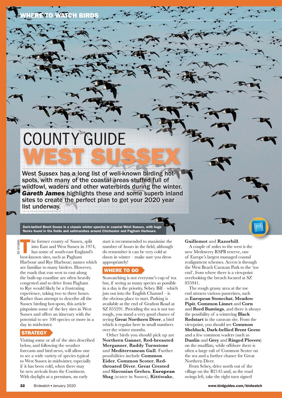 Birdwatch Magazine Preview Pages