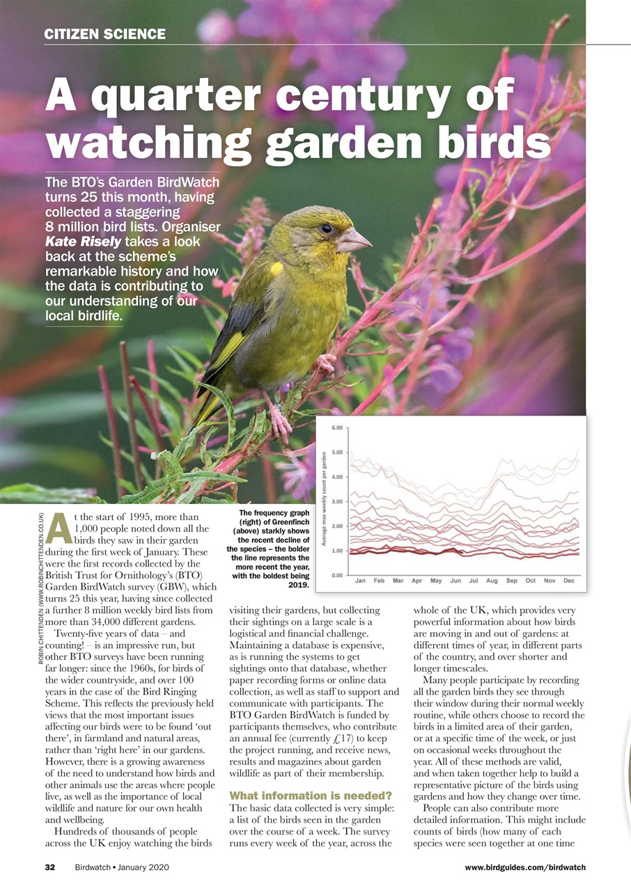 Birdwatch Magazine Preview Pages