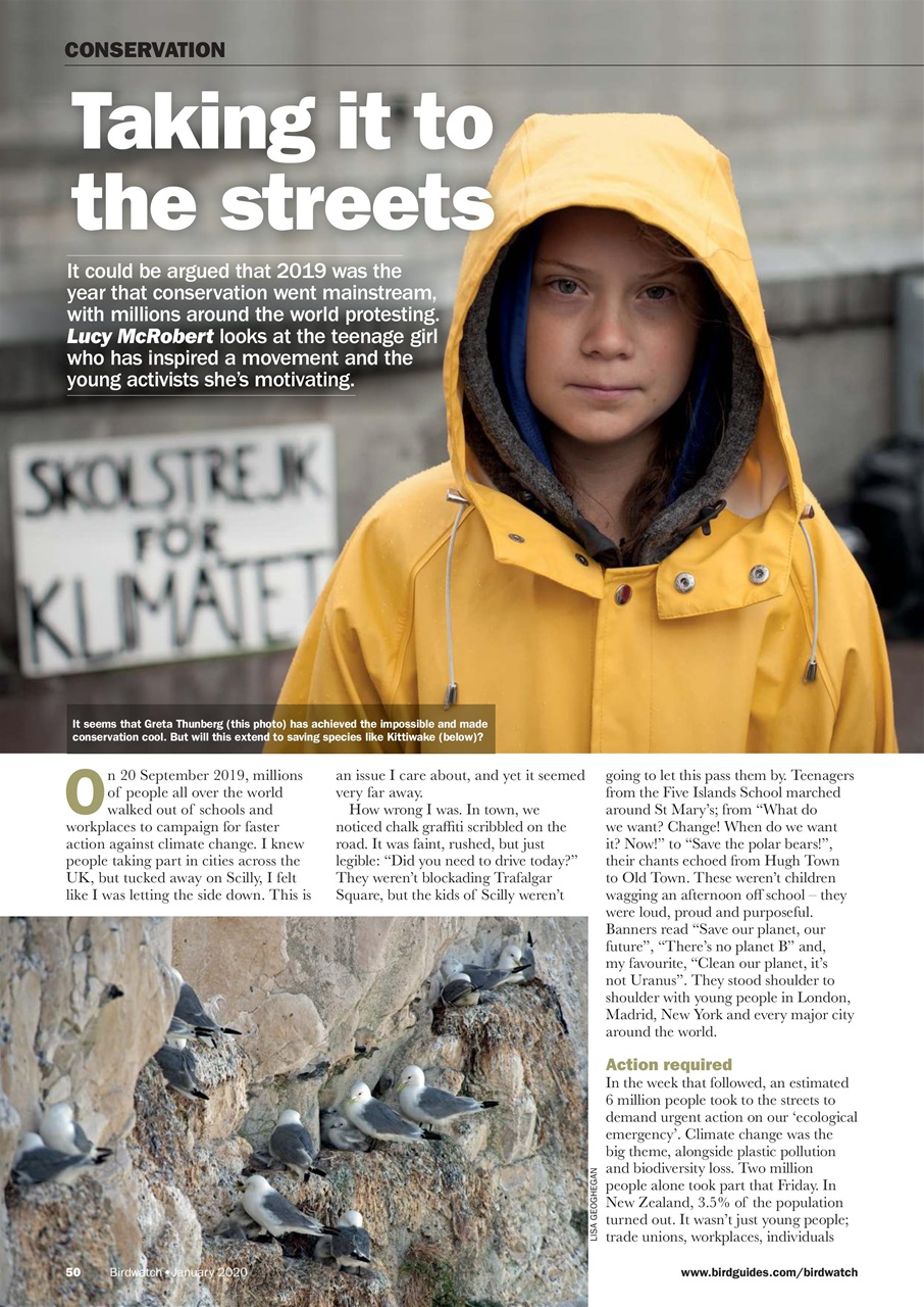 Birdwatch Magazine Preview Pages