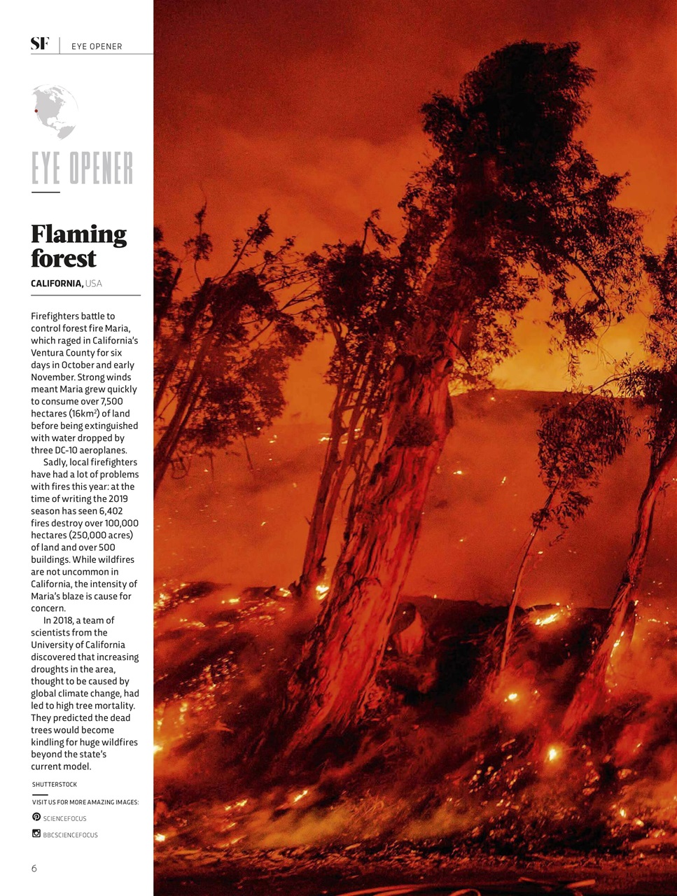 BBC Science Focus Magazine Preview Pages