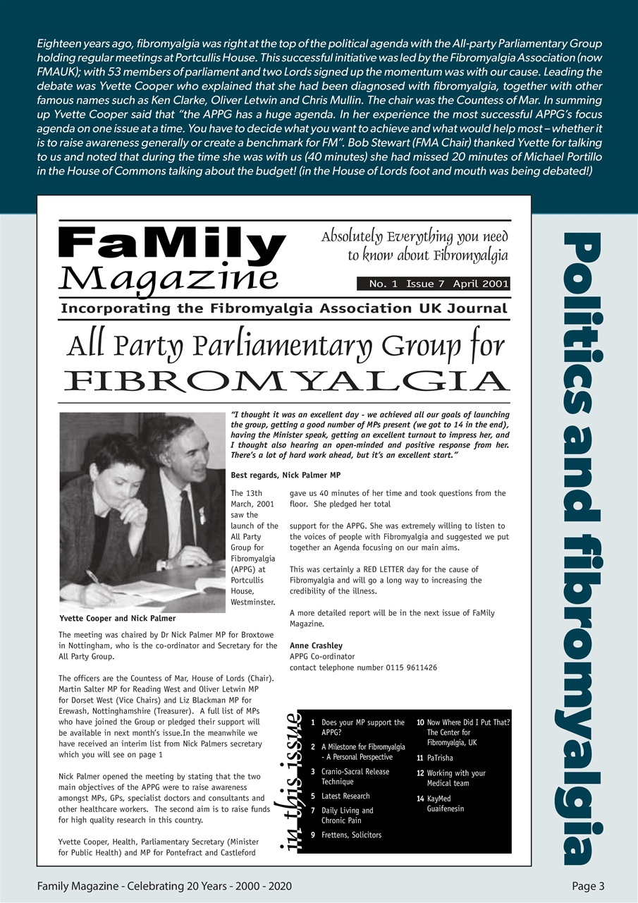 Fibromyalgia Magazine Preview Pages