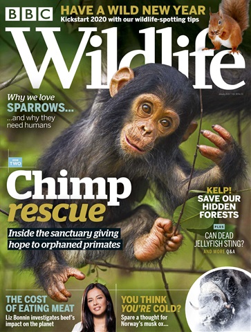 BBC Wildlife Magazine issue January 2020