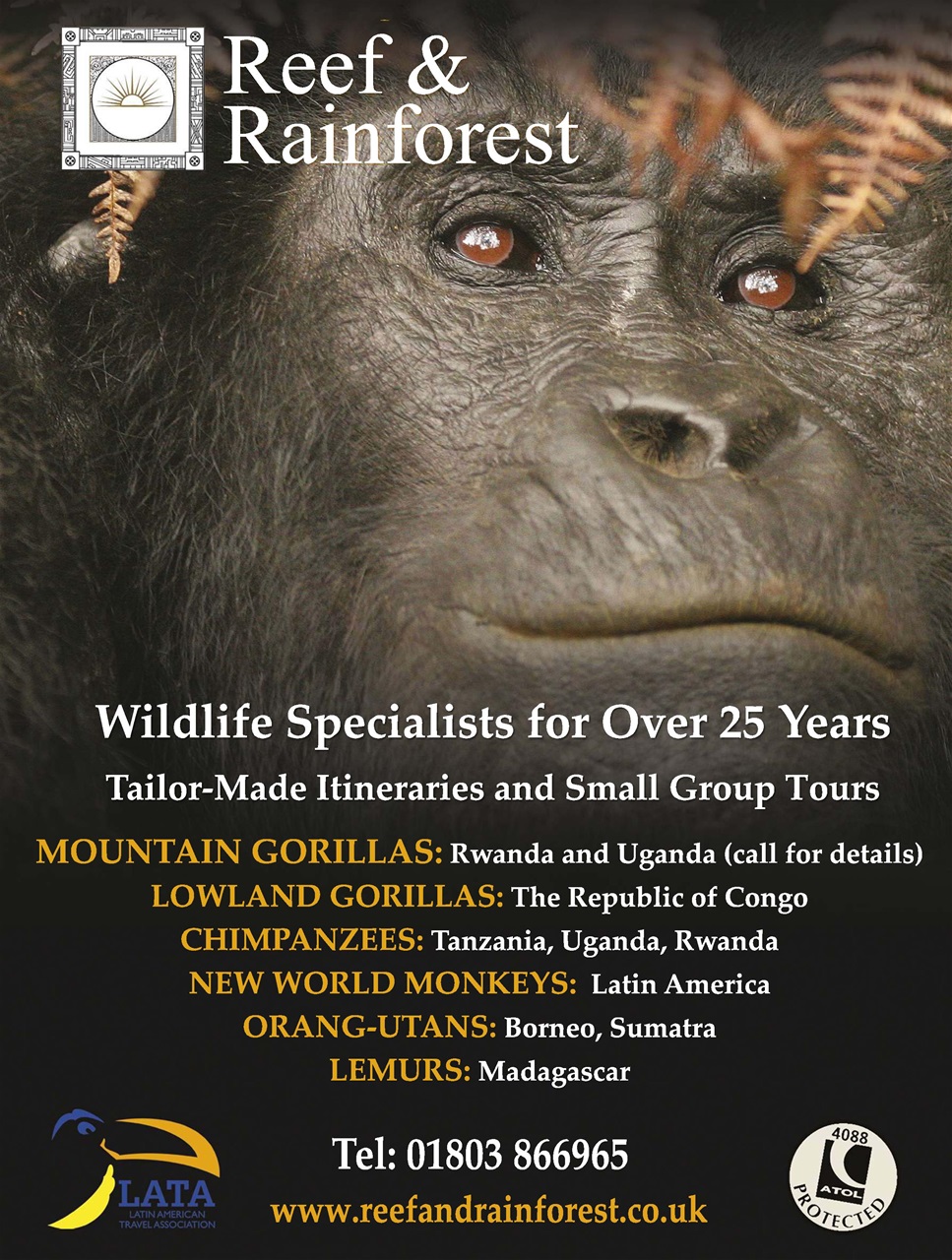 BBC Wildlife Magazine Preview Pages