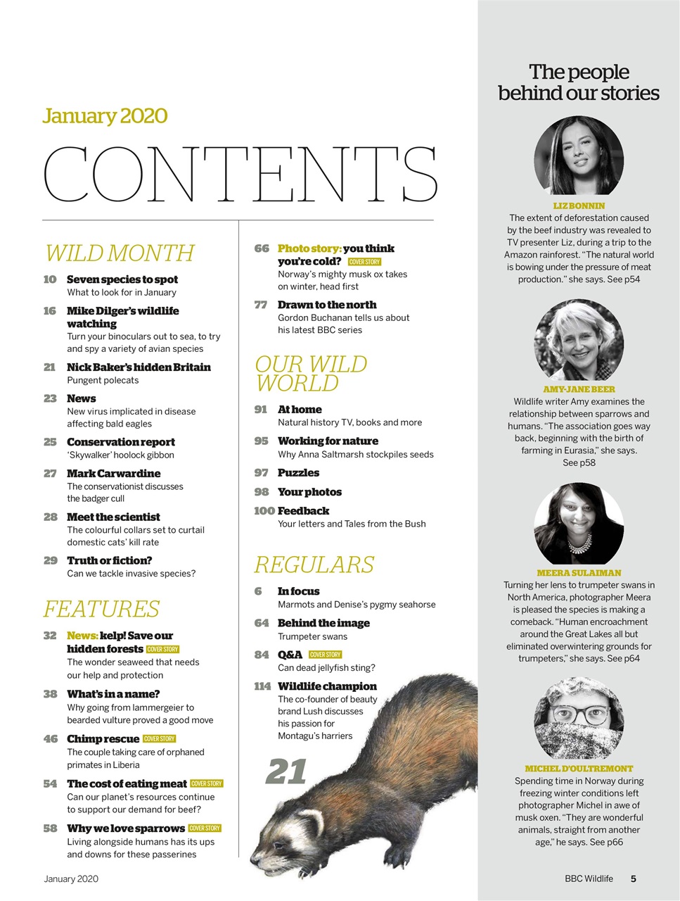 BBC Wildlife Magazine Preview Pages