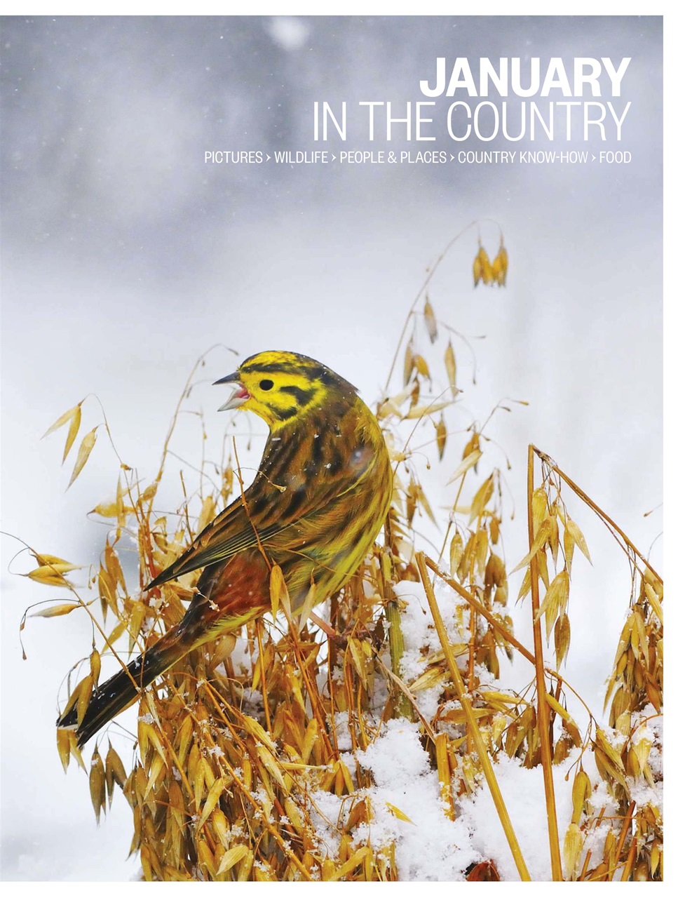 BBC Countryfile Magazine Preview Pages
