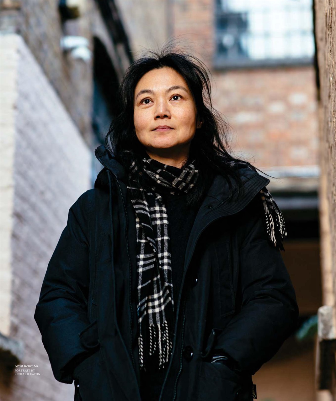 Art Collector Preview Pages