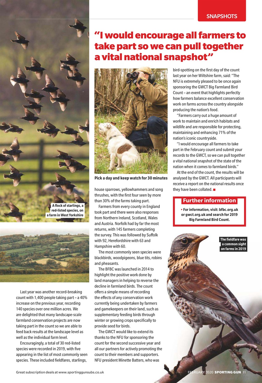 Sporting Gun Preview Pages