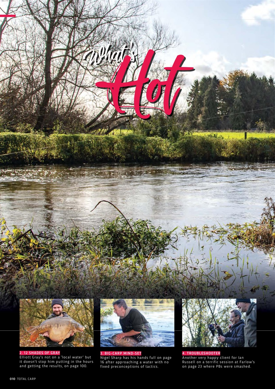 Total Carp Preview Pages