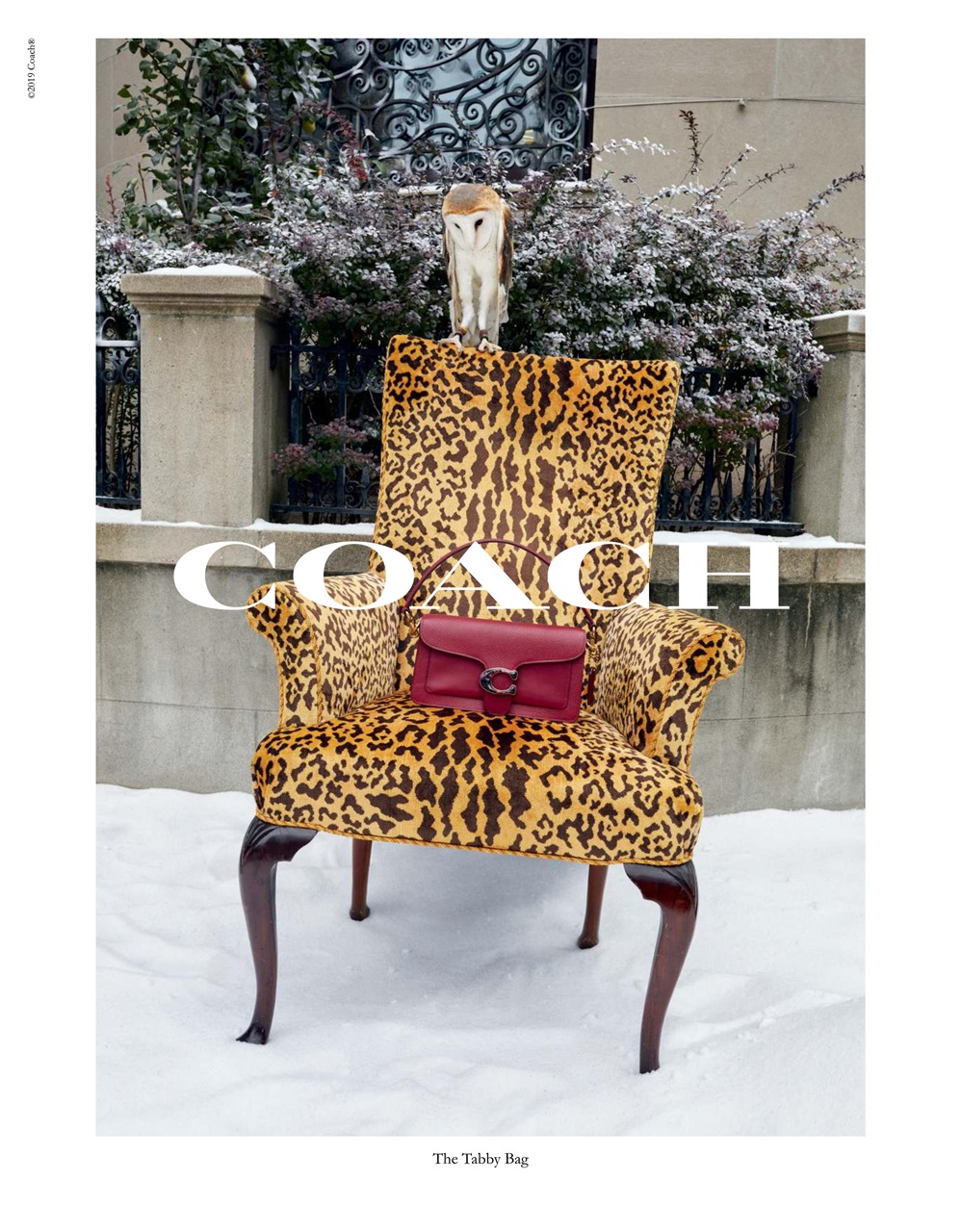 Notion Magazine Preview Pages