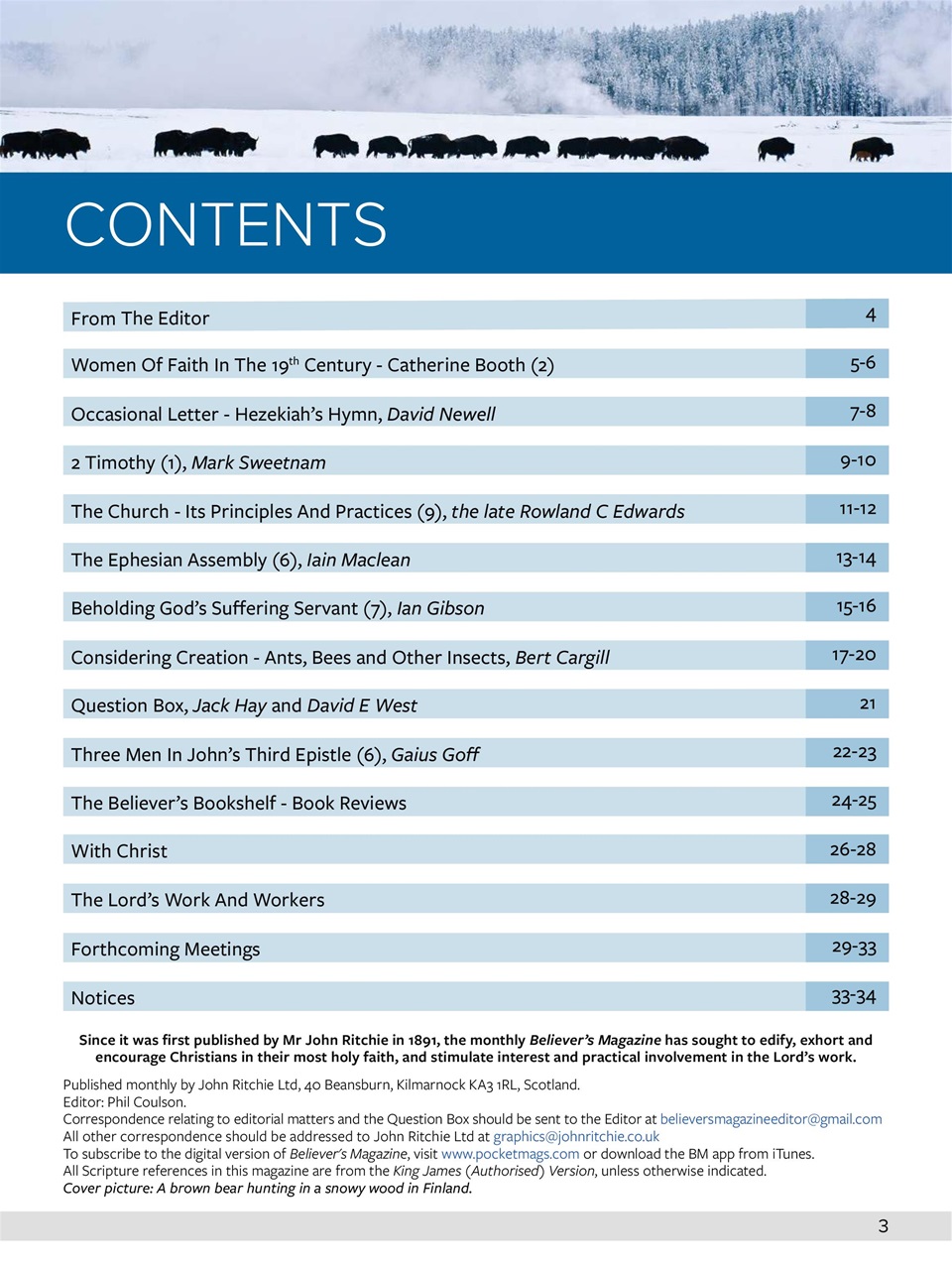 Believer Magazine Preview Pages