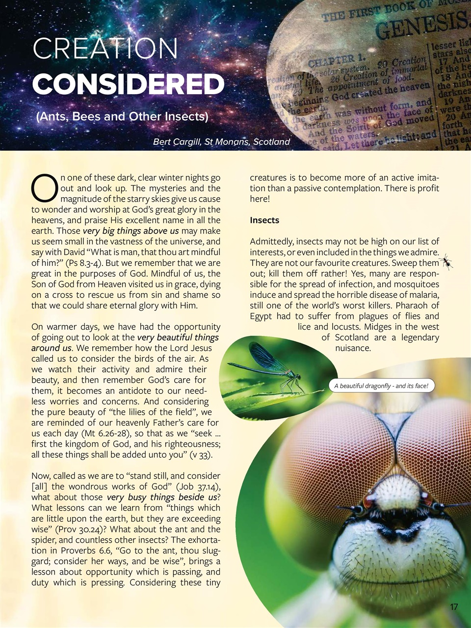 Believer Magazine Preview Pages