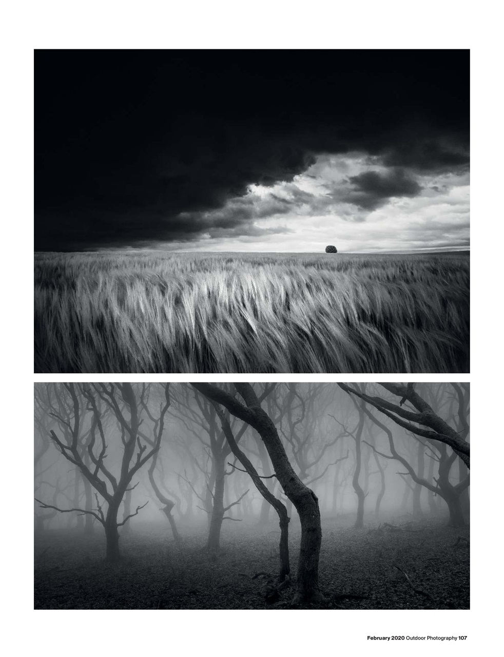 Outdoor Photography Preview Pages