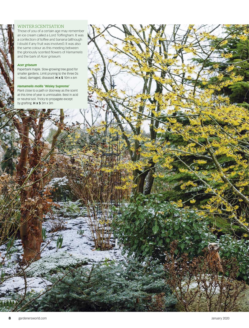 BBC Gardeners’ World Magazine Preview Pages