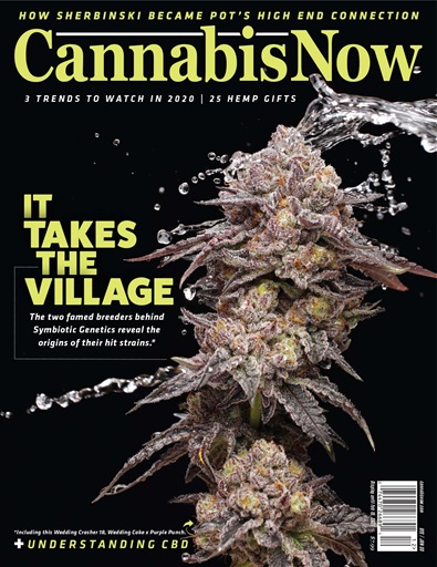 Cannabis Now issue 