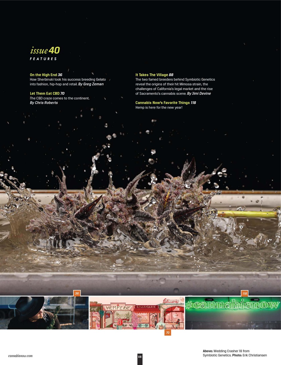 Cannabis Now Preview Pages