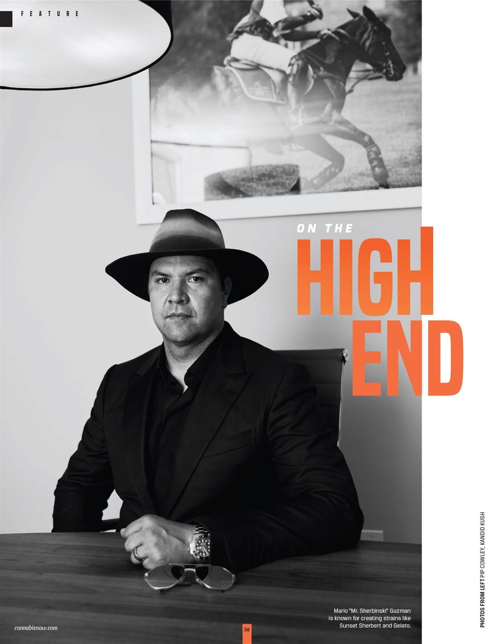 Cannabis Now Preview Pages