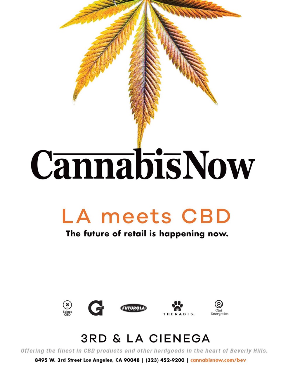 Cannabis Now Preview Pages