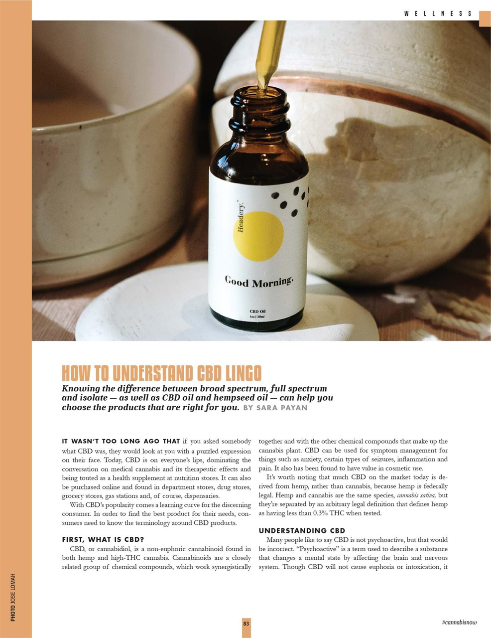 Cannabis Now Preview Pages