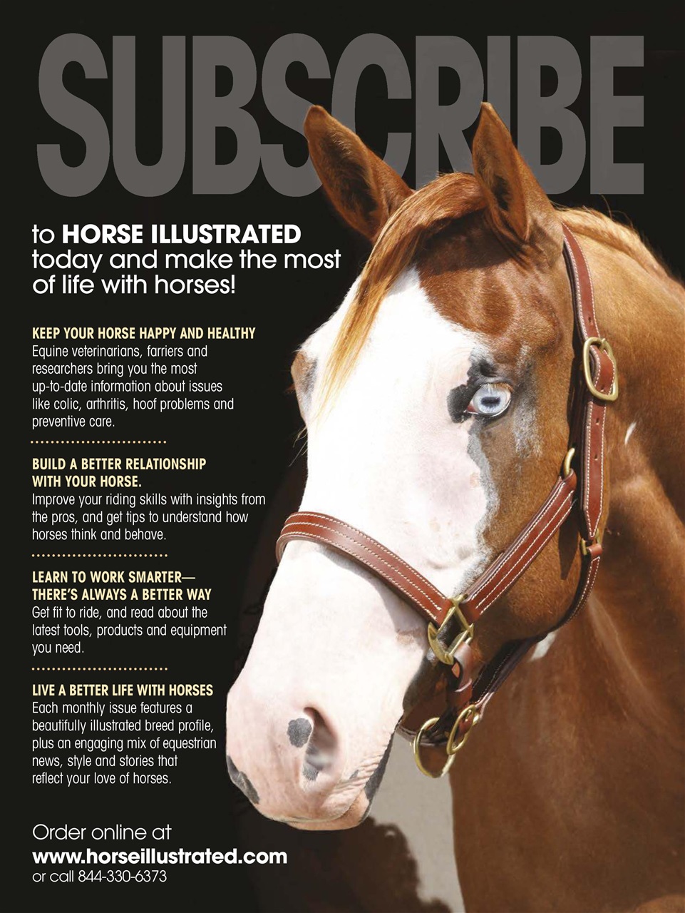 Horse Illustrated Magazine Preview Pages