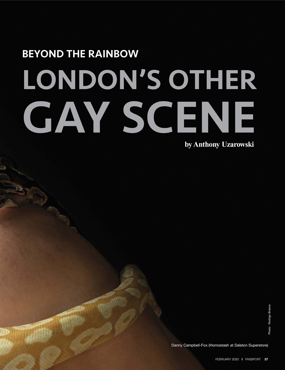 Passport Preview Pages