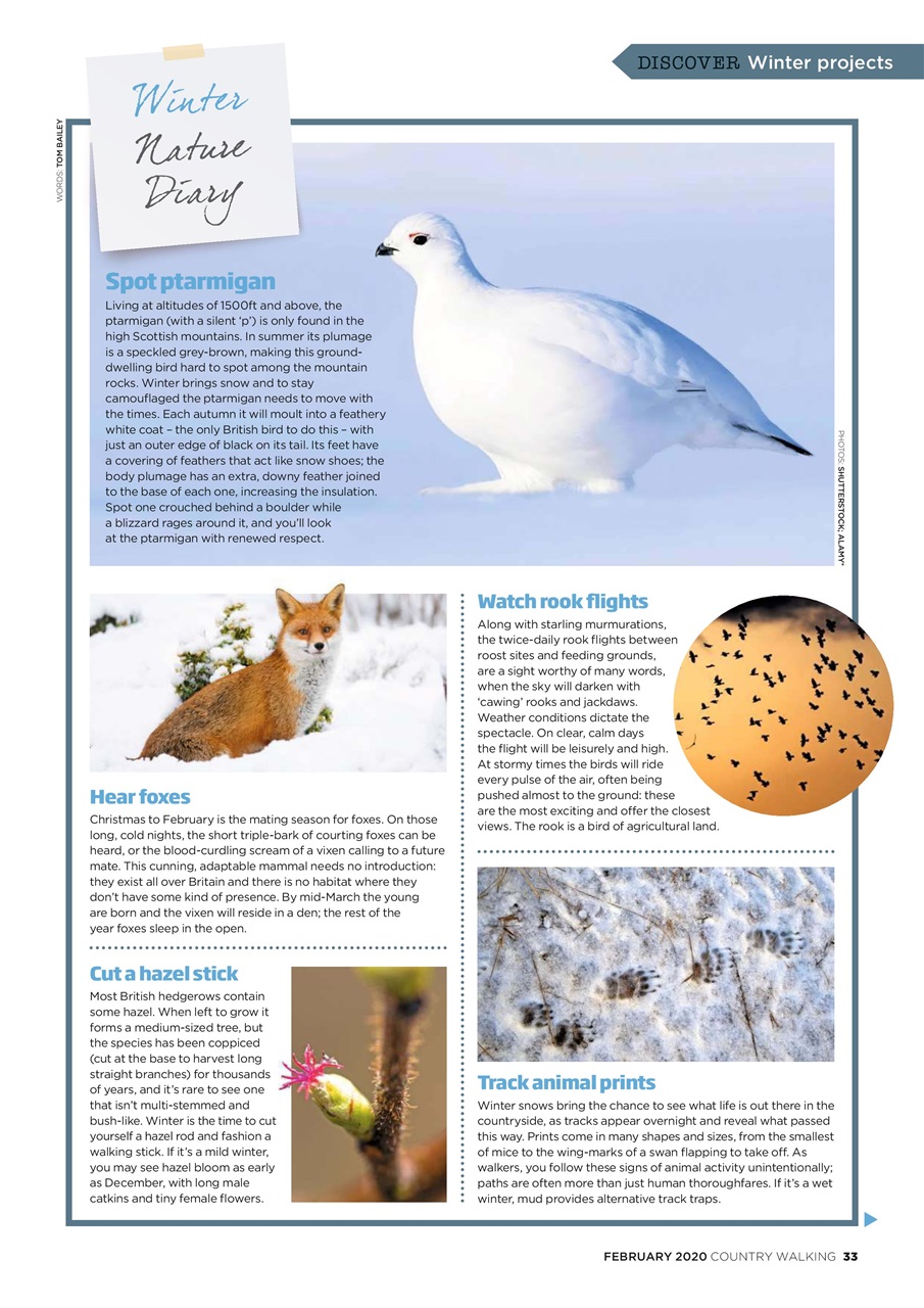 Country Walking Preview Pages