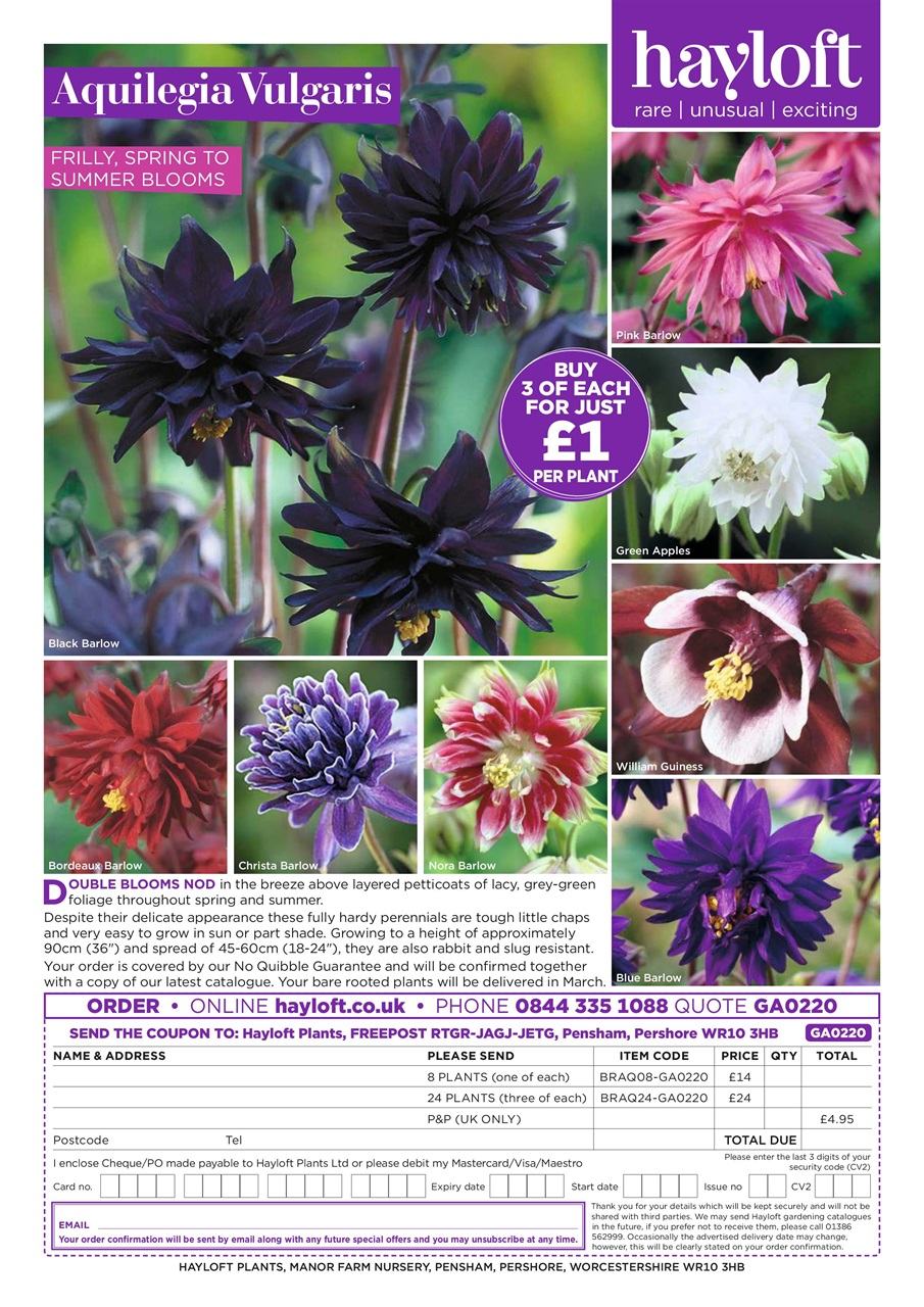 Garden Answers Preview Pages