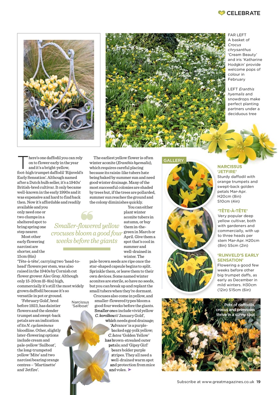 Garden Answers Preview Pages