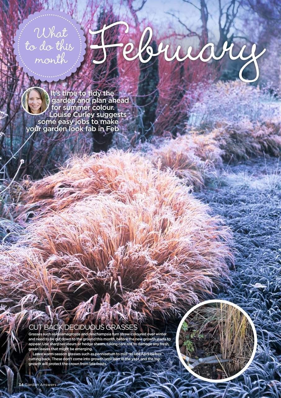 Garden Answers Preview Pages