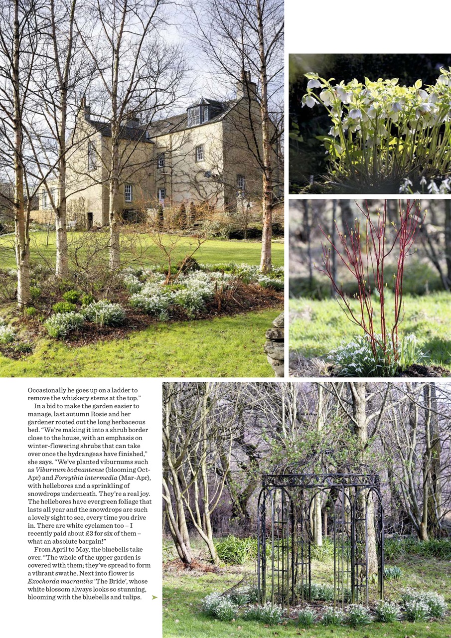 Garden Answers Preview Pages