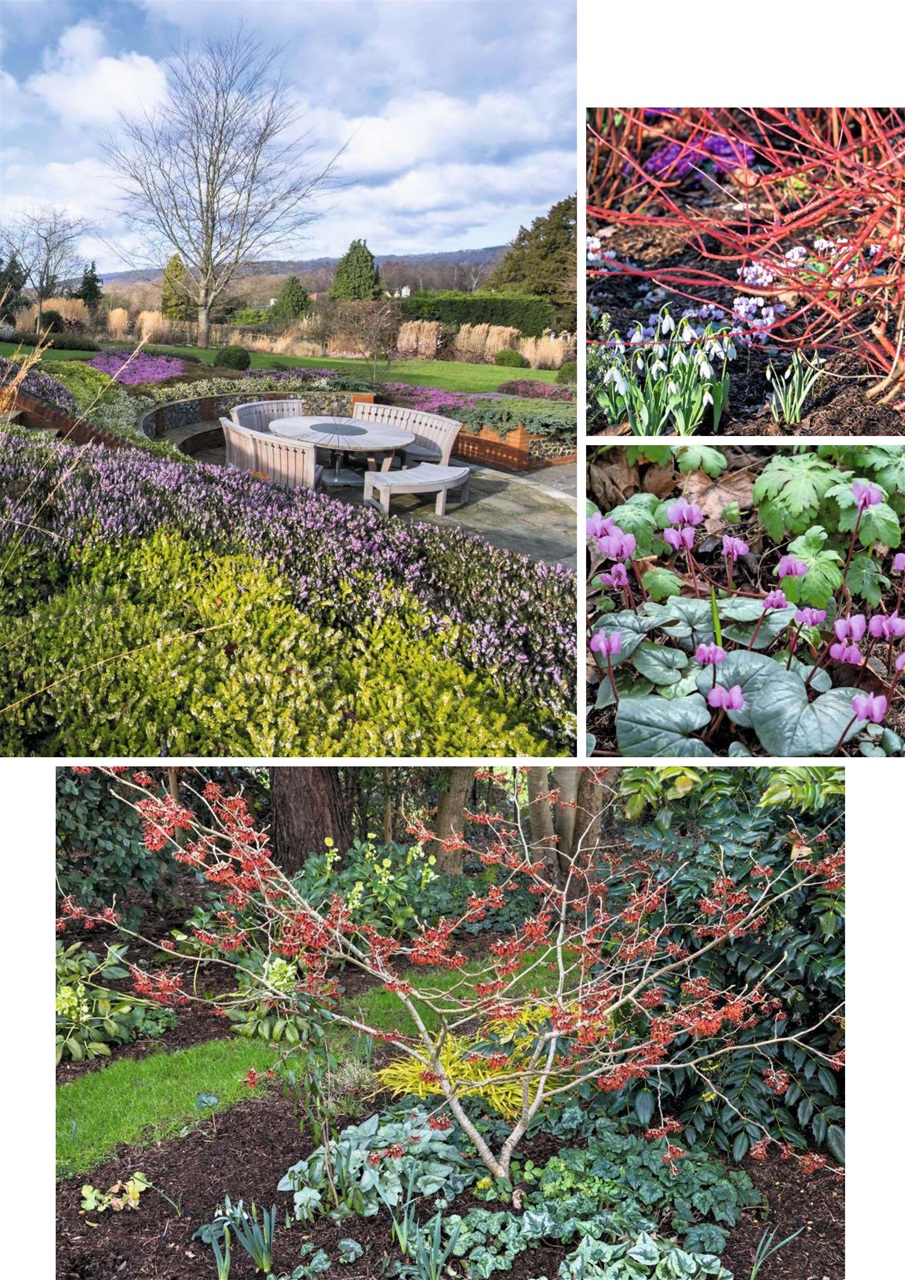 Garden Answers Preview Pages