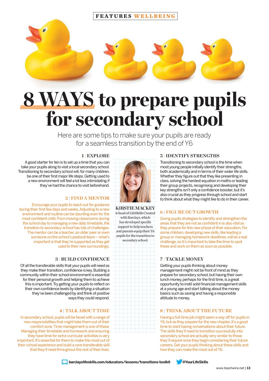 Teach Primary Preview Pages