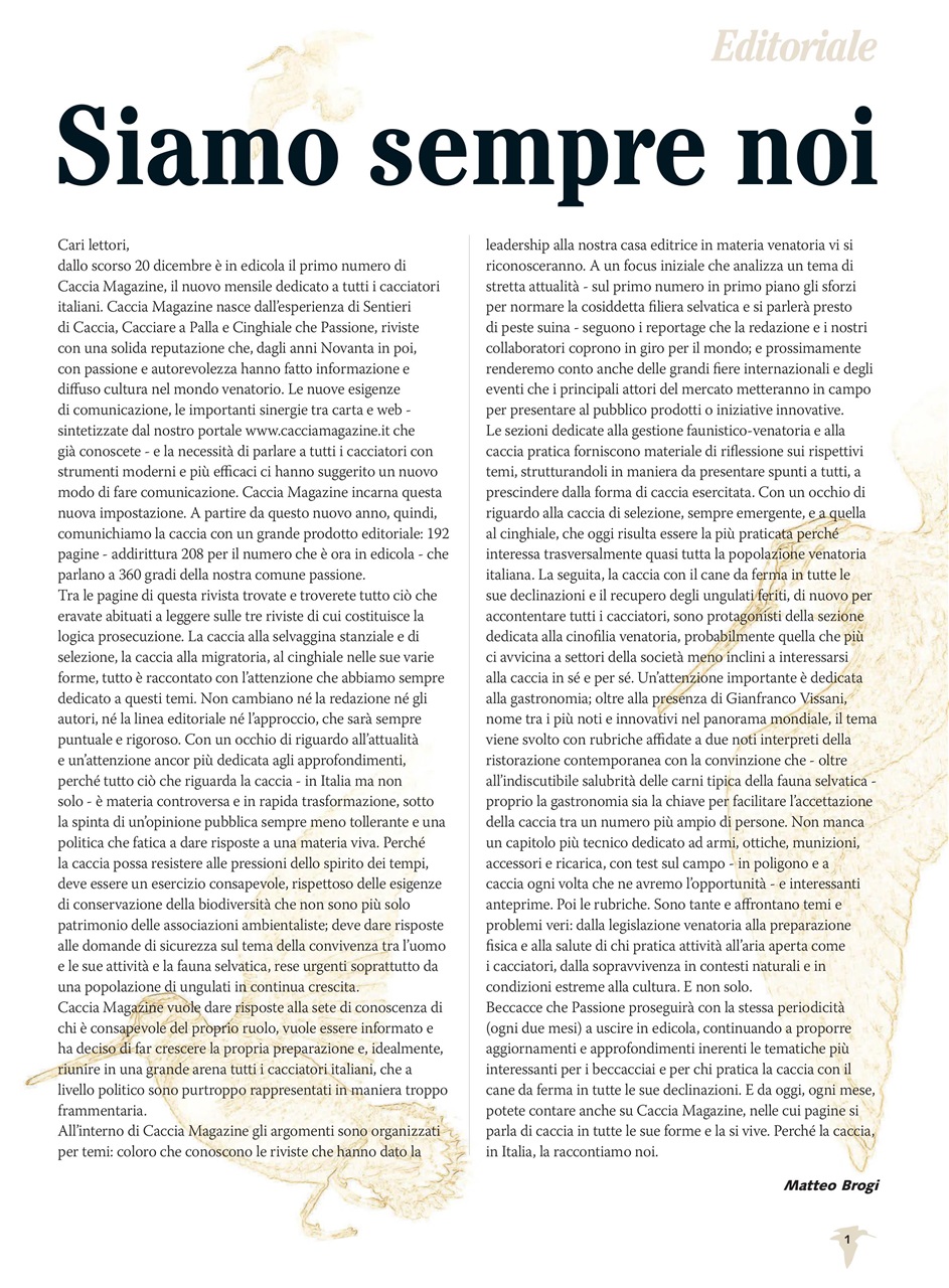 BECCACCE CHE PASSIONE Preview Pages