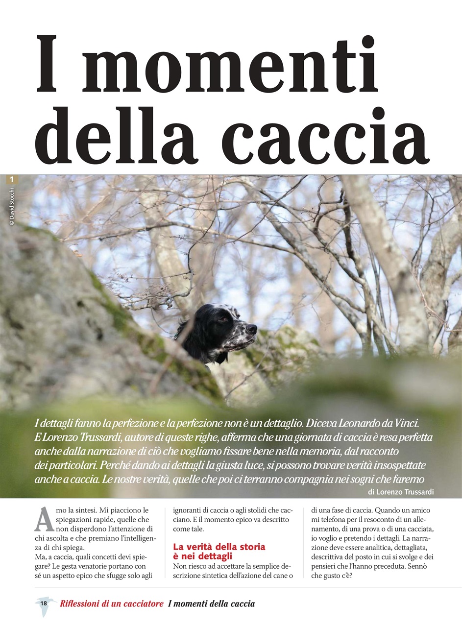 BECCACCE CHE PASSIONE Preview Pages