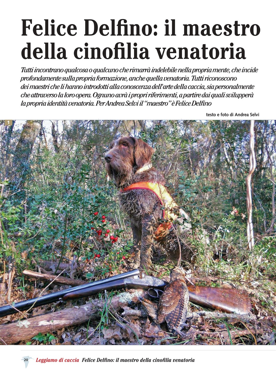 BECCACCE CHE PASSIONE Preview Pages