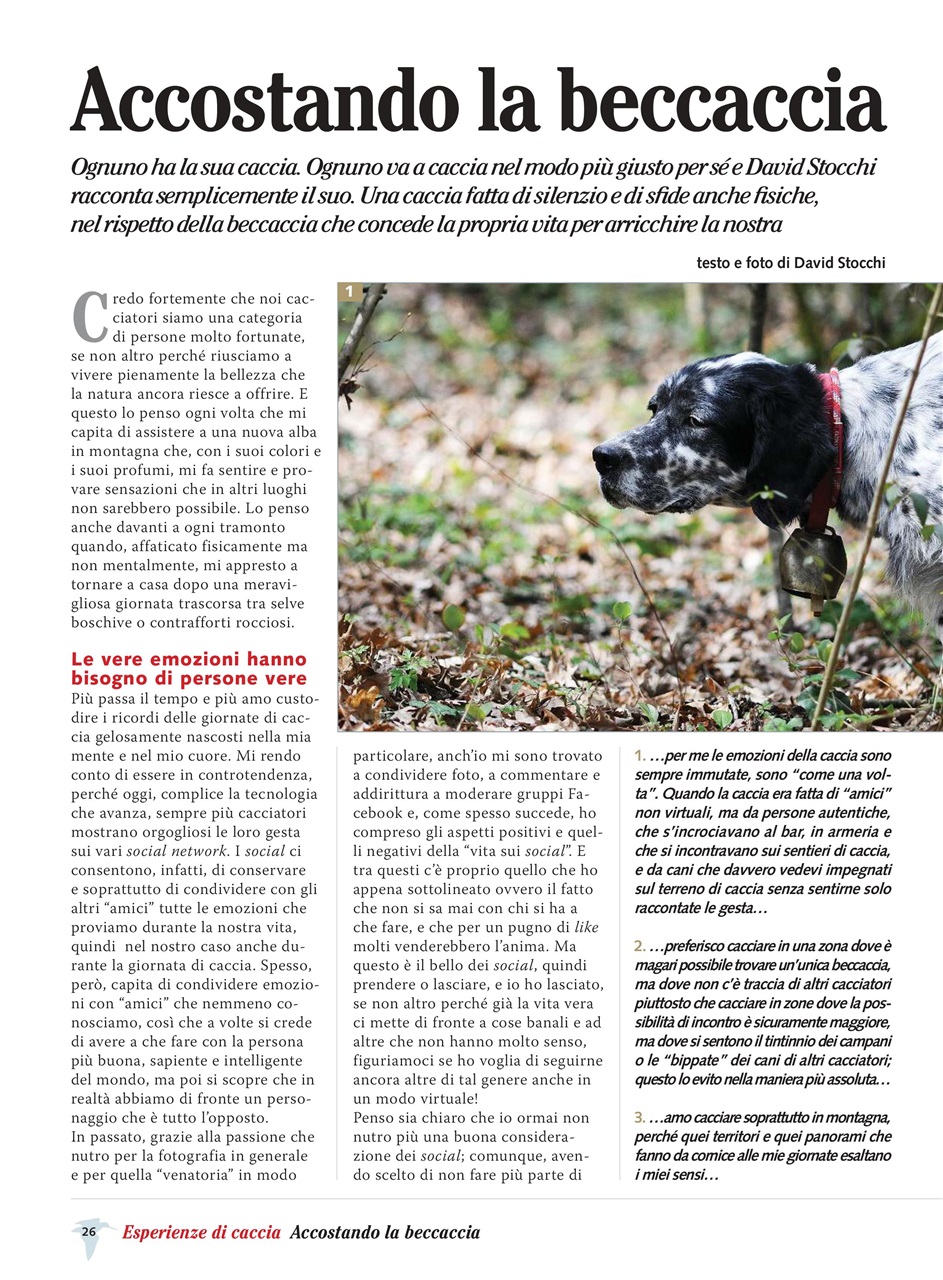 BECCACCE CHE PASSIONE Preview Pages