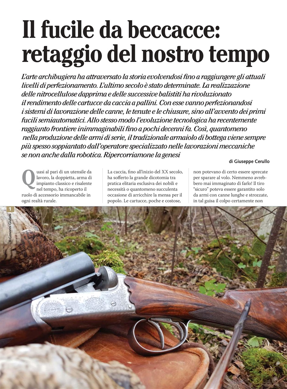 BECCACCE CHE PASSIONE Preview Pages