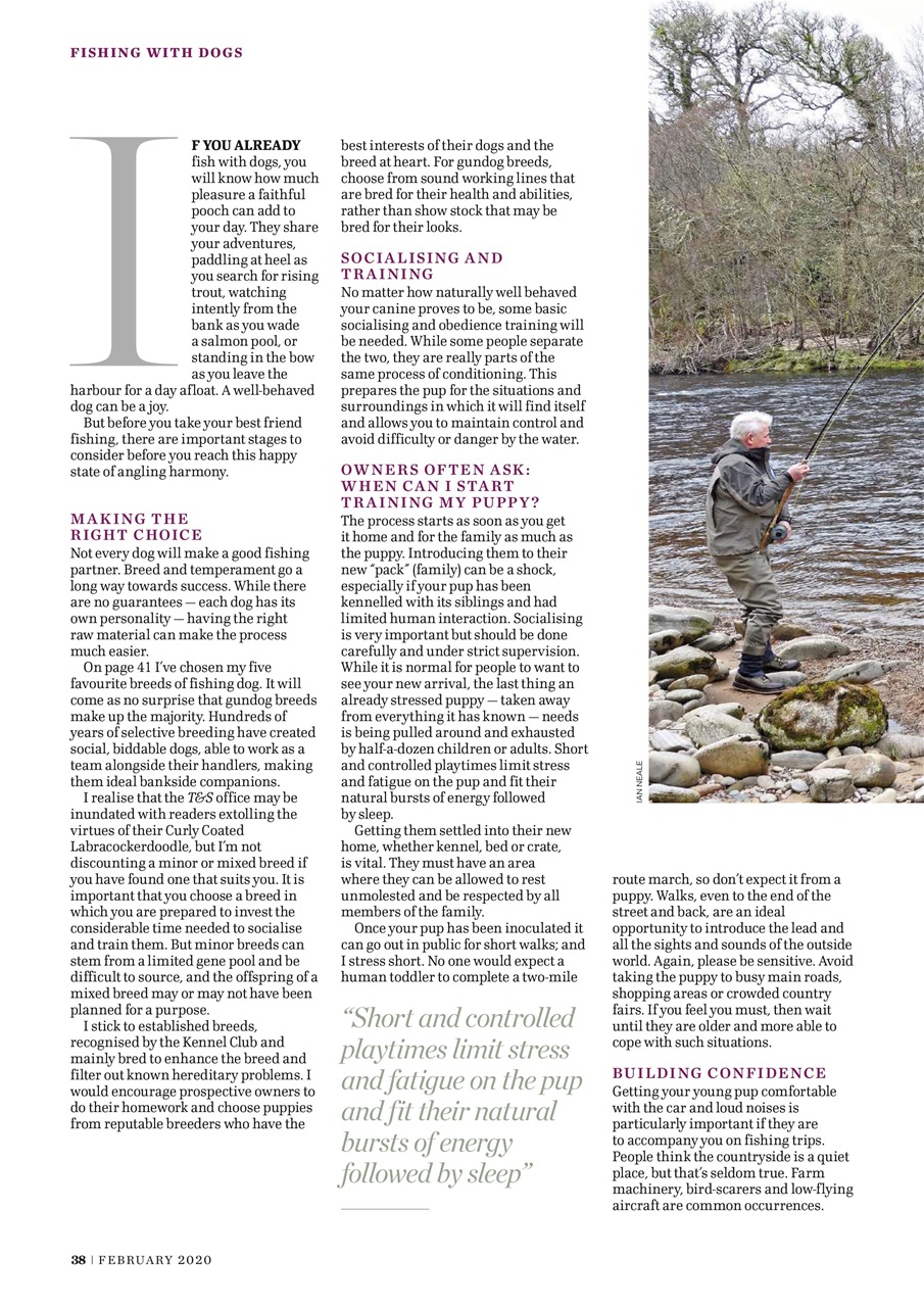 Trout & Salmon Preview Pages