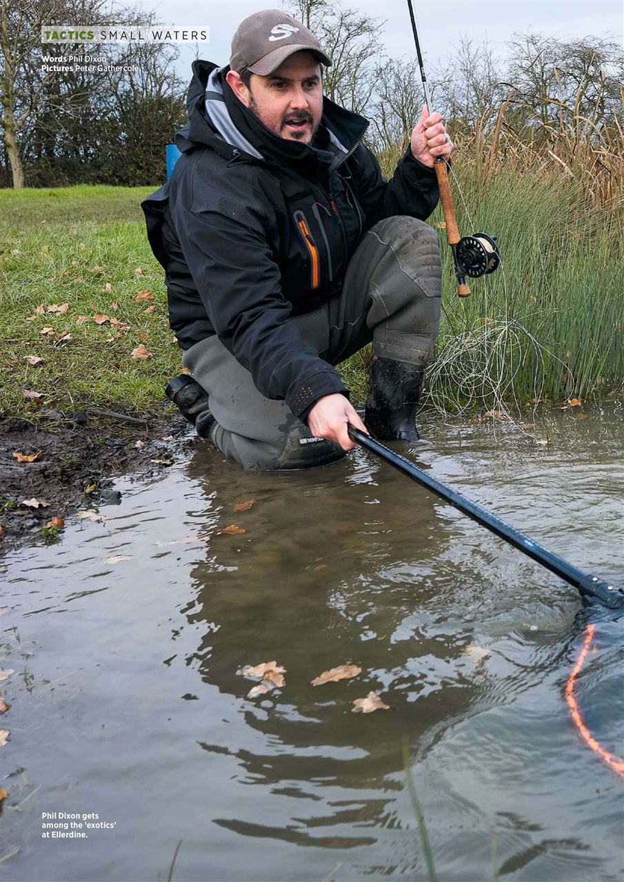 Trout Fisherman Preview Pages
