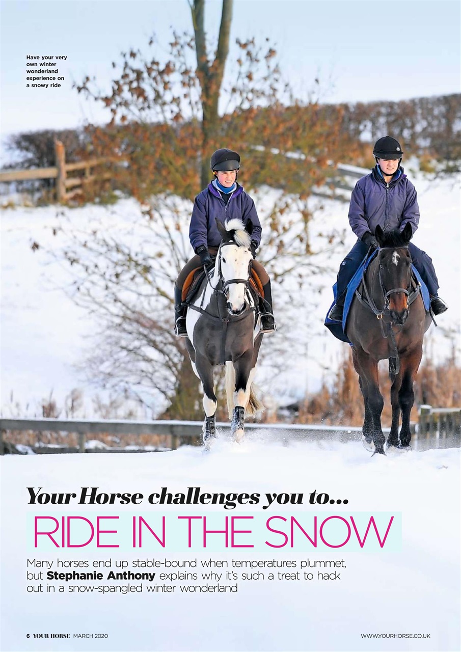 Your Horse Preview Pages