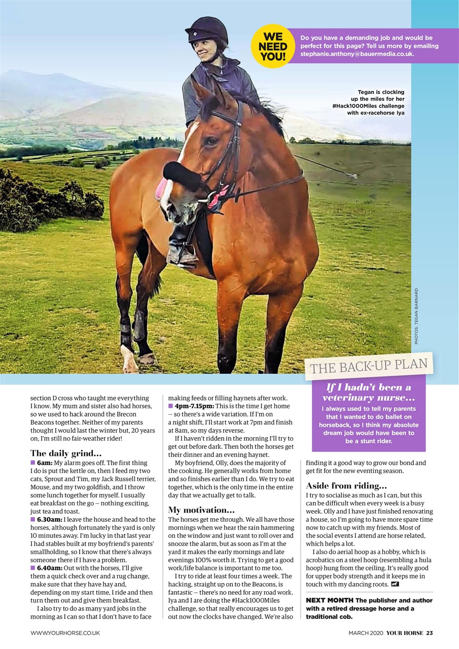 Your Horse Preview Pages