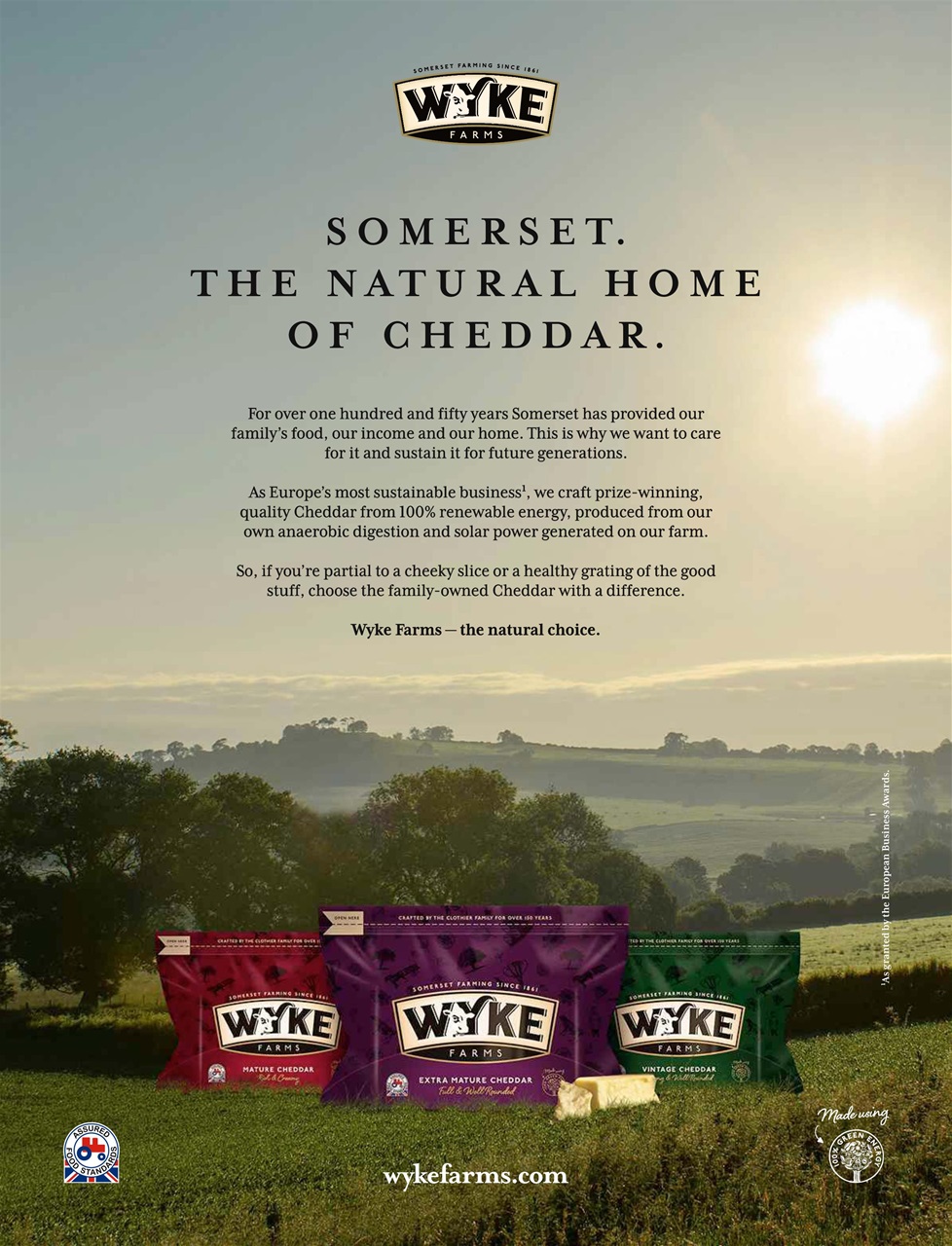 Easy Cook Magazine Preview Pages