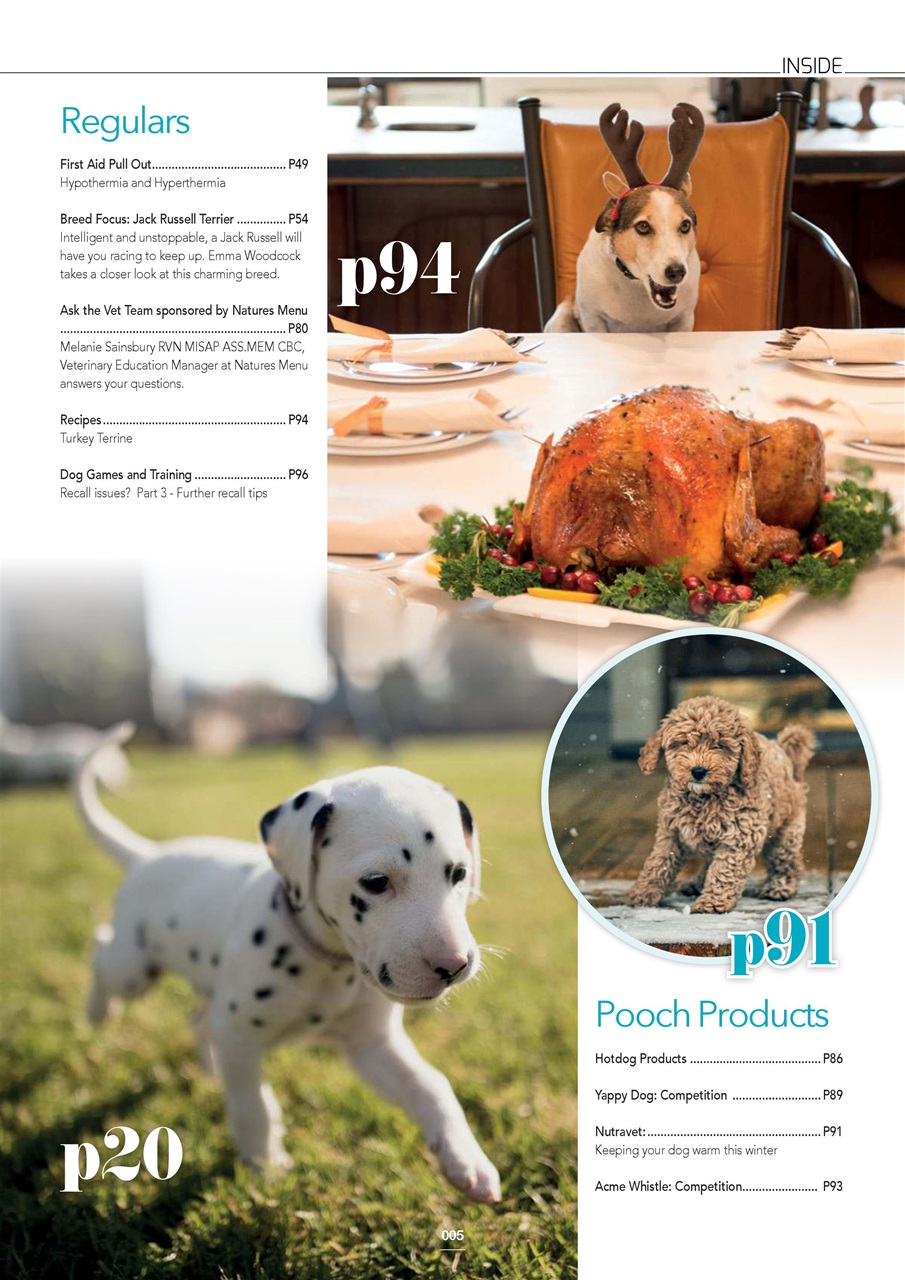 Edition Dog Preview Pages