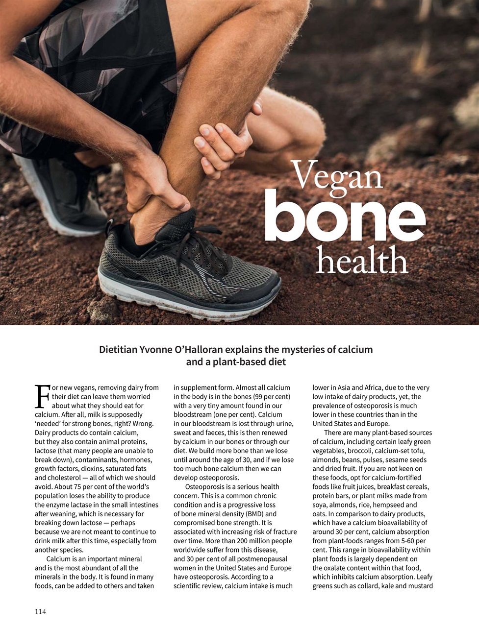 Vegan Life Preview Pages