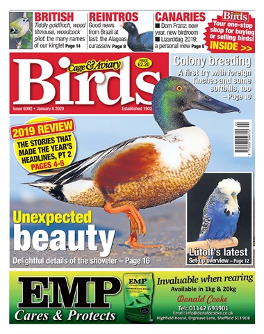 Cage & Aviary Birds issue 08/01/2020