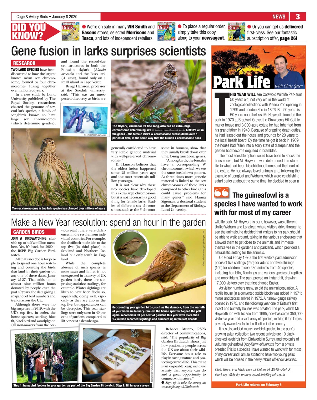 Cage & Aviary Birds Preview Pages