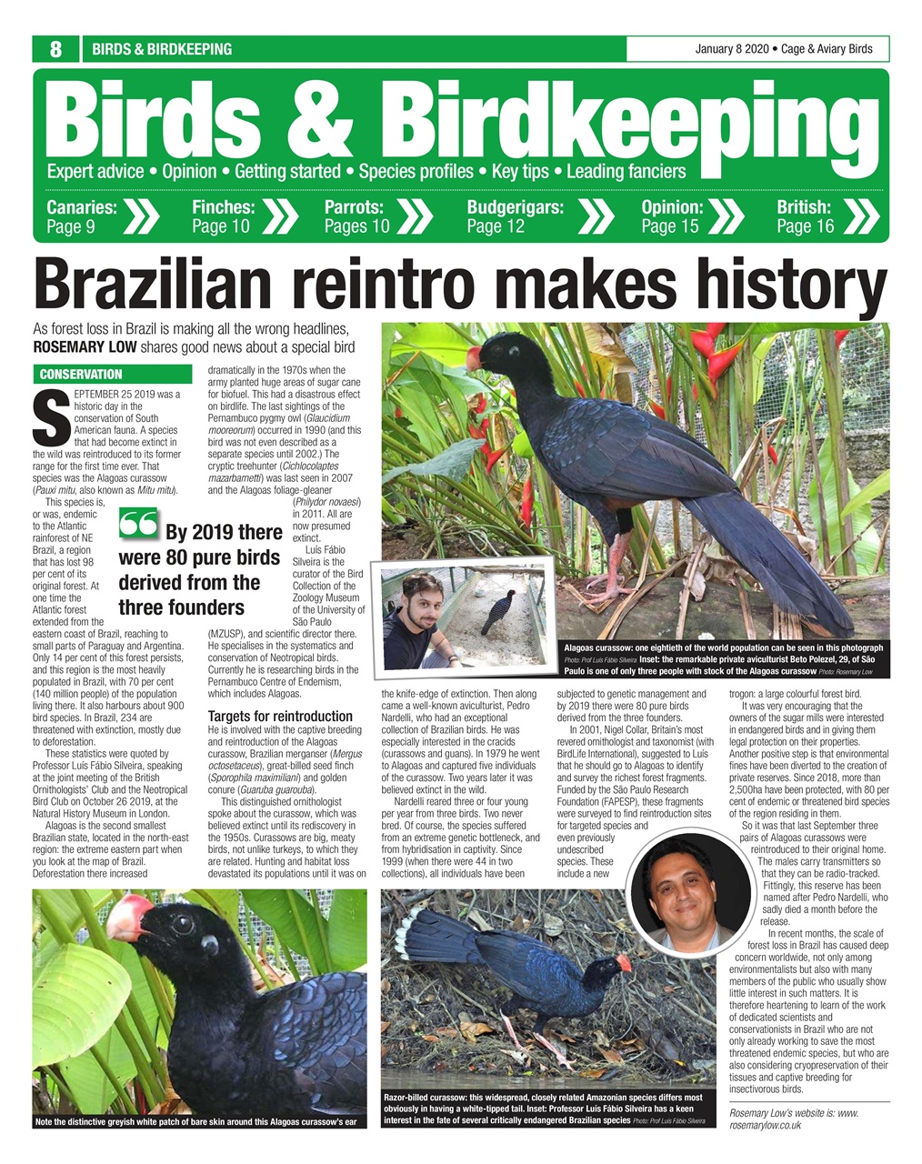 Cage & Aviary Birds Preview Pages