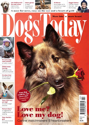 Dogs Today Magazine issue February 2020