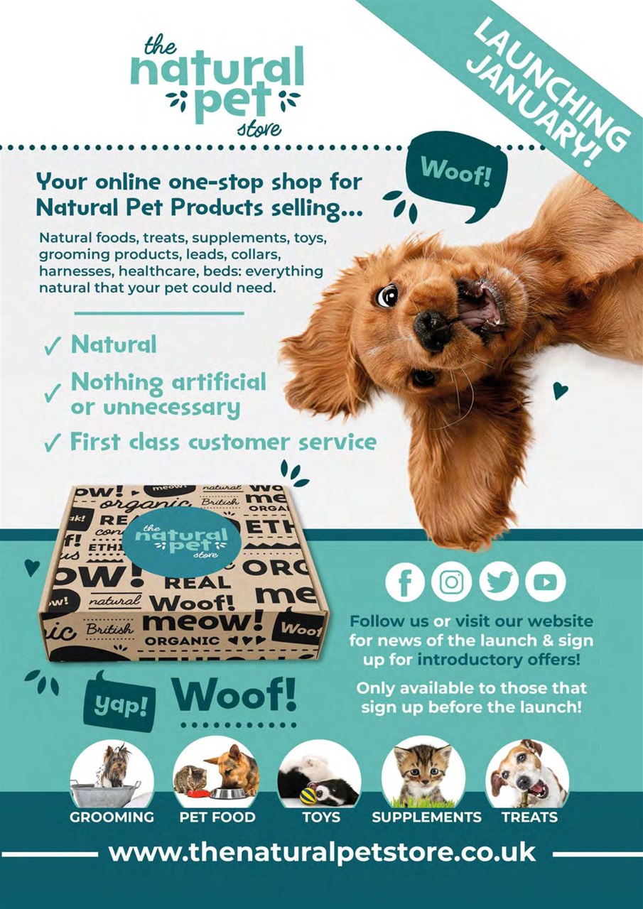 Dogs Today Magazine Preview Pages