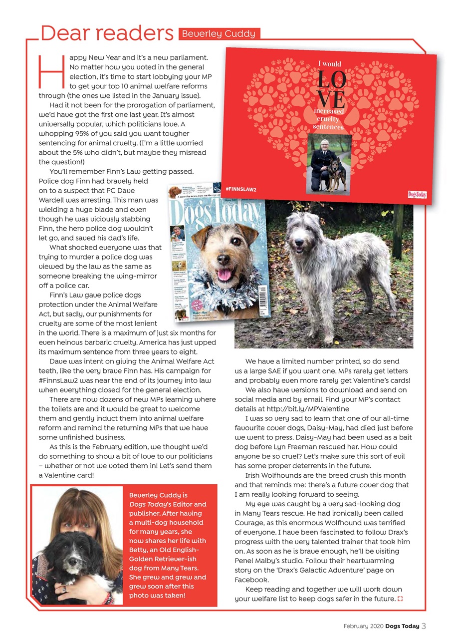 Dogs Today Magazine Preview Pages