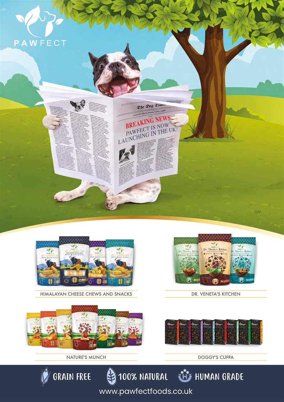 Dogs Today Magazine Preview Pages